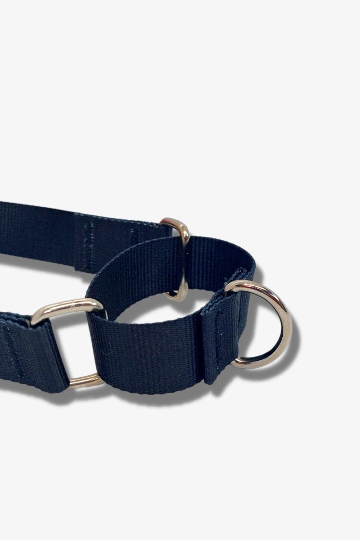 Draco Easy Walk Front Pull Harness