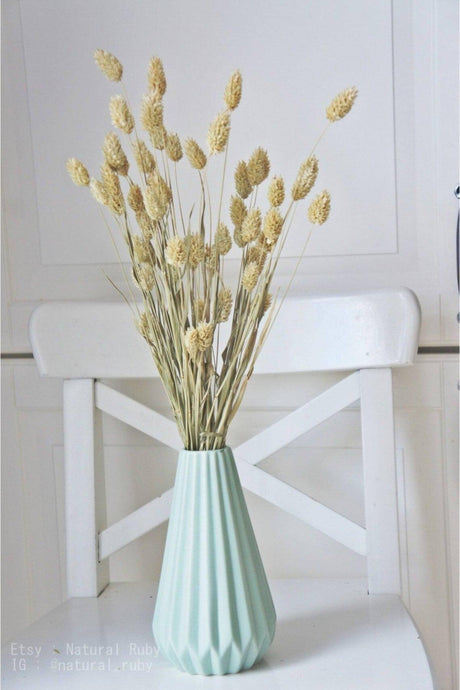 Dried Flower Palaris Bird Grass White Length 45cm 55-60 Stem - Swordslife