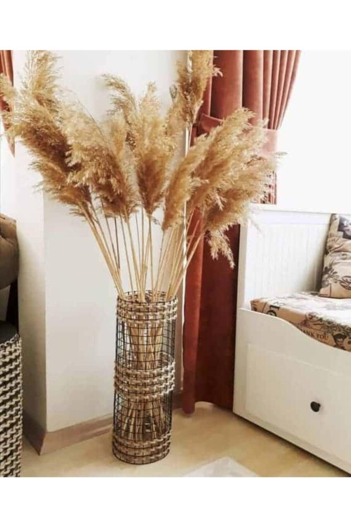 Dried Flower Pampas 20 Pieces 100 cm M-100 - Swordslife