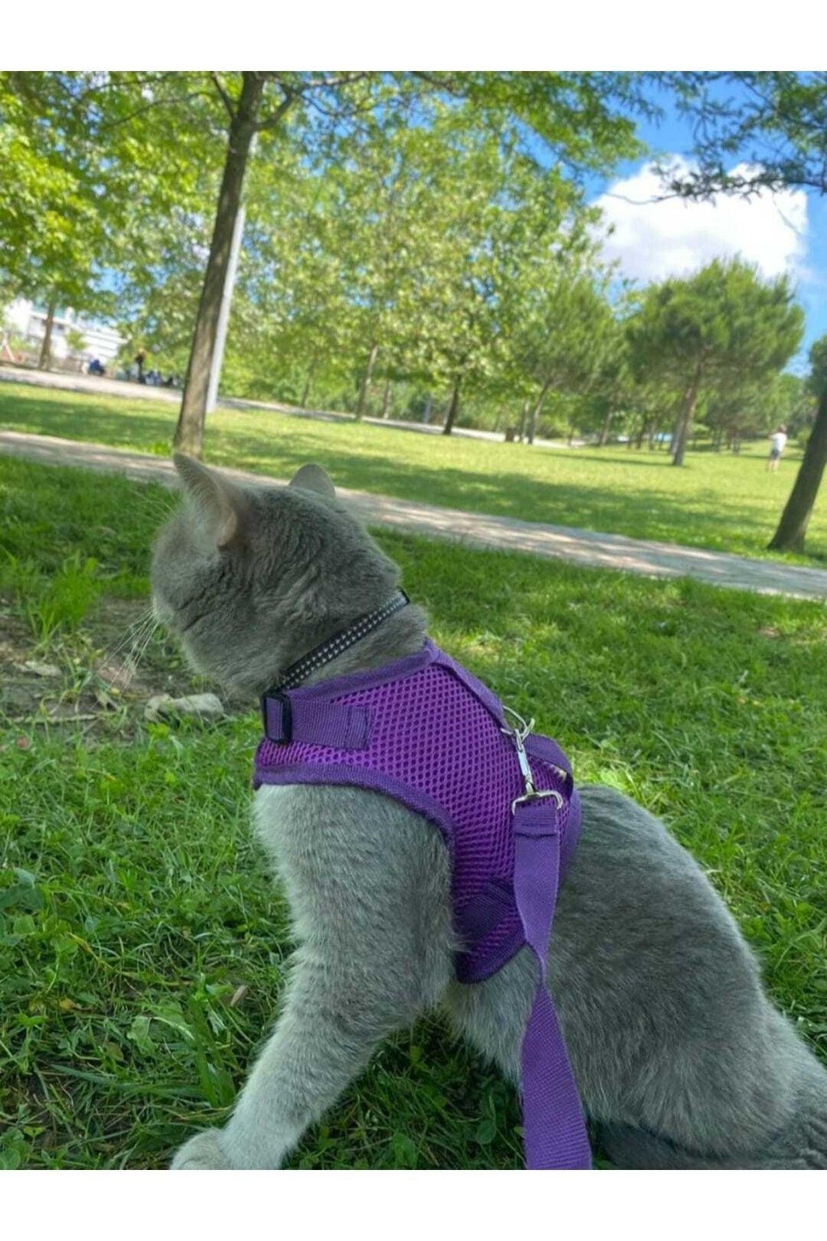 Anti-Escape Mesh Cat Breast Buckle(purple)