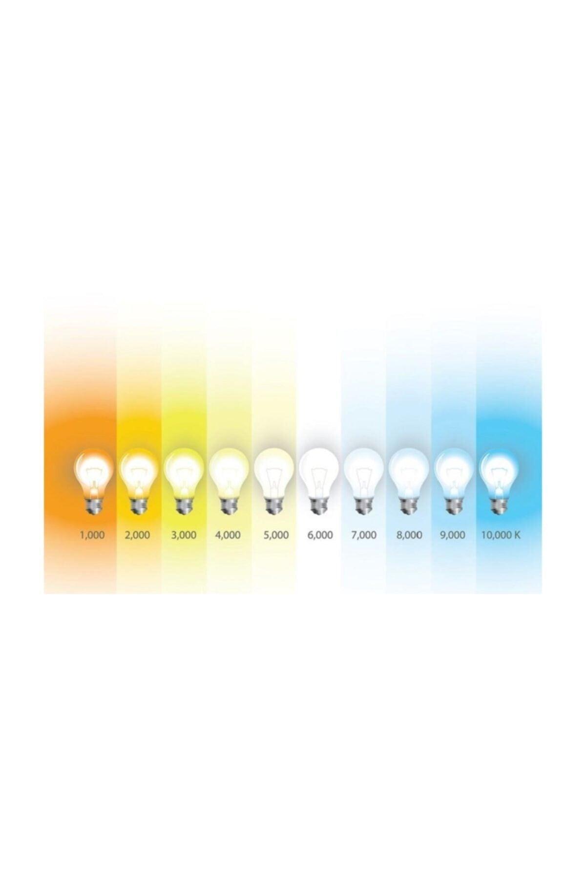 Essential Led Bulb 14-100w E27 Socket 6500k