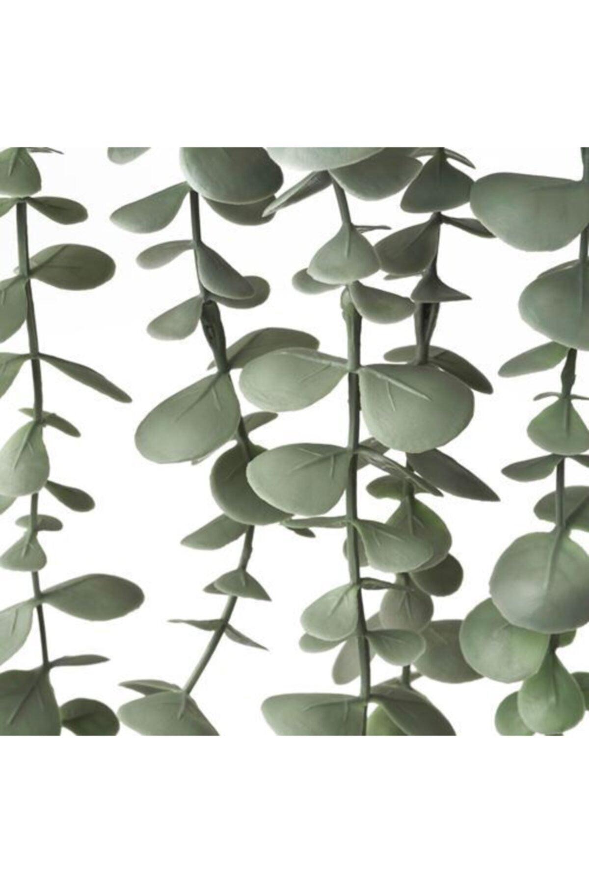 Fejka Artificial Plant Eucalyptus - Swordslife