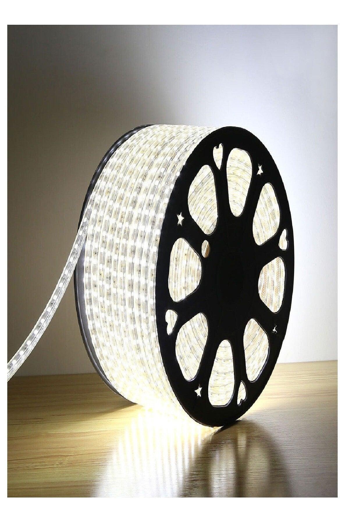 Flexible Strip Hose Strip Led Light - 220