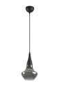 Fora besondere Design Sport Modern Dekorative Salon Schwarz Farbe Fuction Glas Anhänger Single Kronleuchter - Swordslife