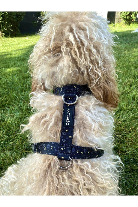 Gold Paws Dog Harness