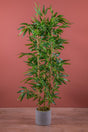 100 Cm Artificial Bamboo Tree in Gray Pot - Swordslife