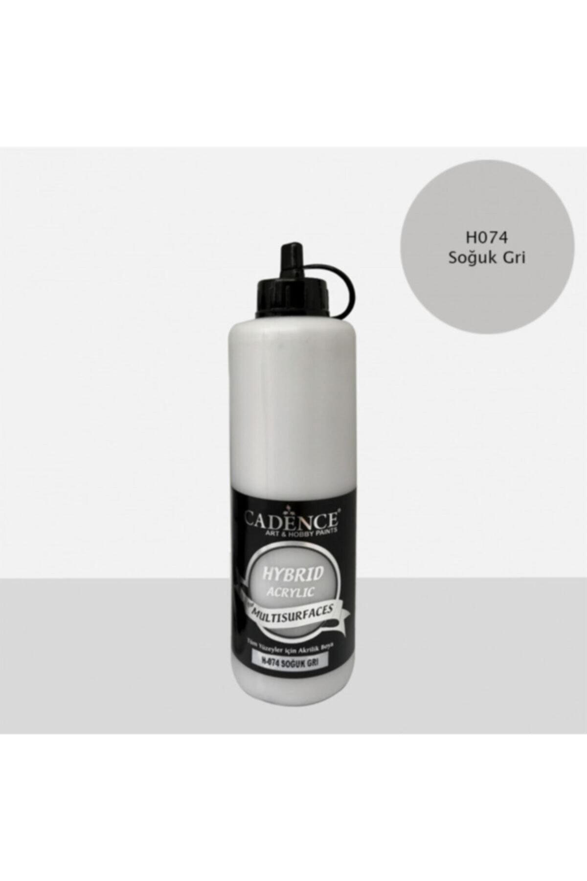 H-074 Cold Gray 500 Ml Multisurface Hybrid