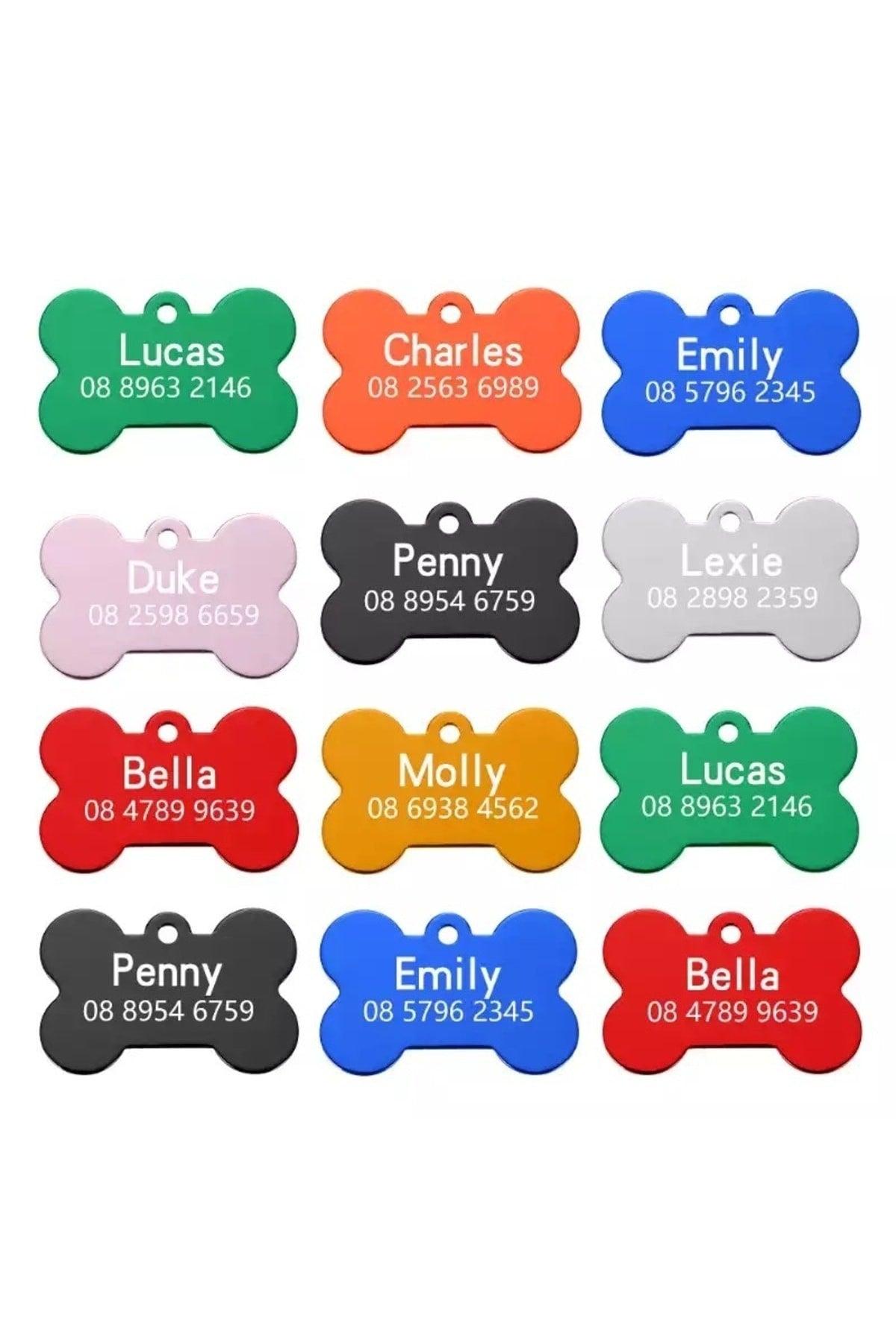 Name Special Steel Cat Dog Tag Tag