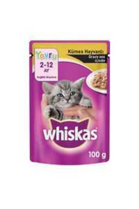 Kitten Food with Poultry Gravy Sauce