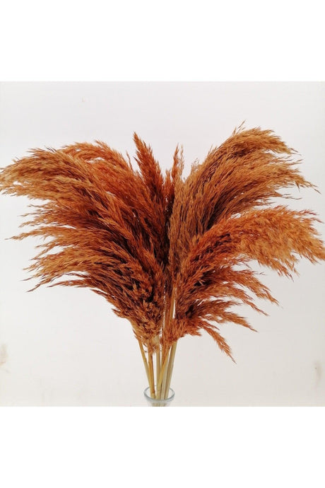 Dried Flower Decorative Pampas 8 Pieces Orange Color - Swordslife