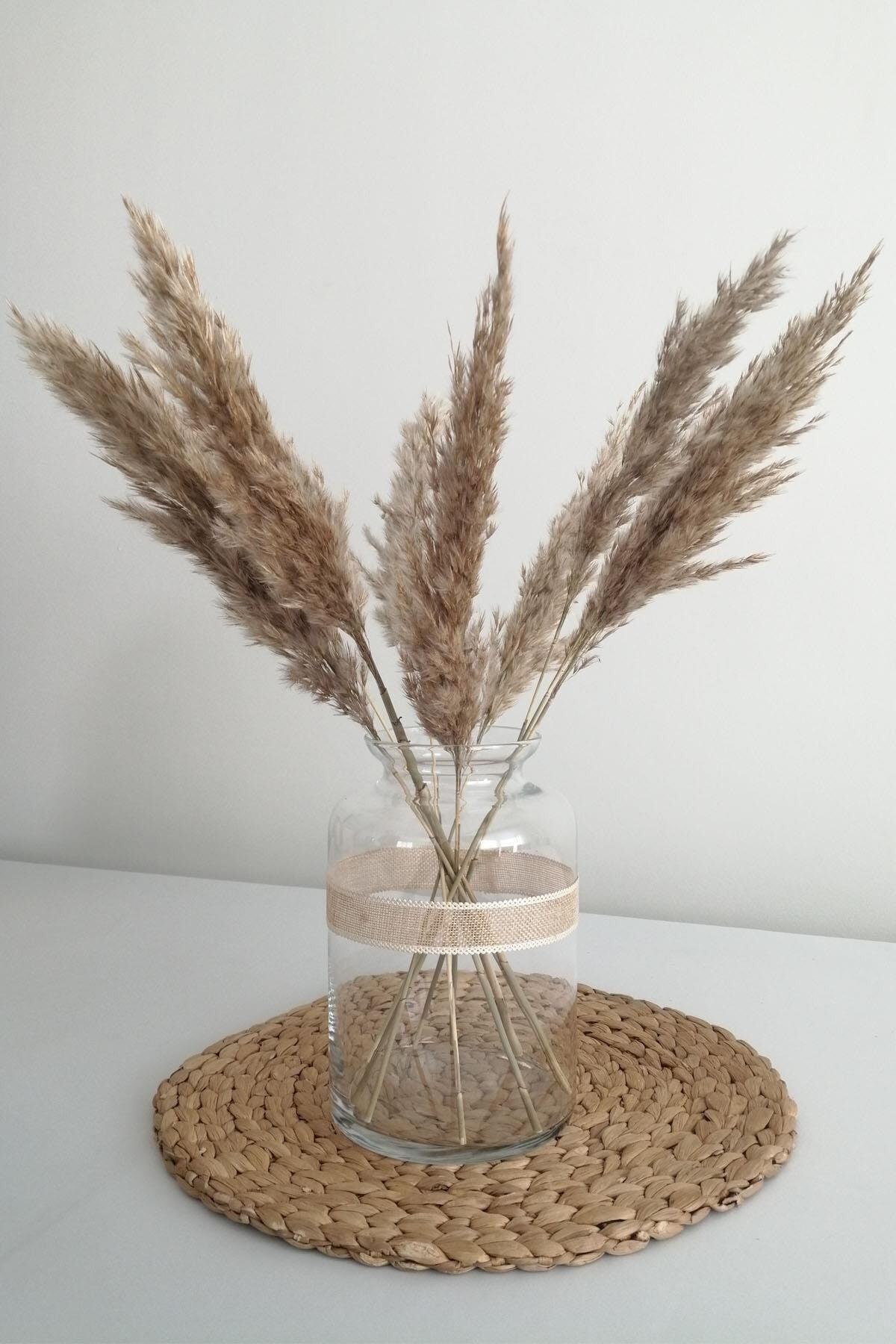 Dried Flower Pampas Small 7 Bunch 50 Cm (natural) - Swordslife