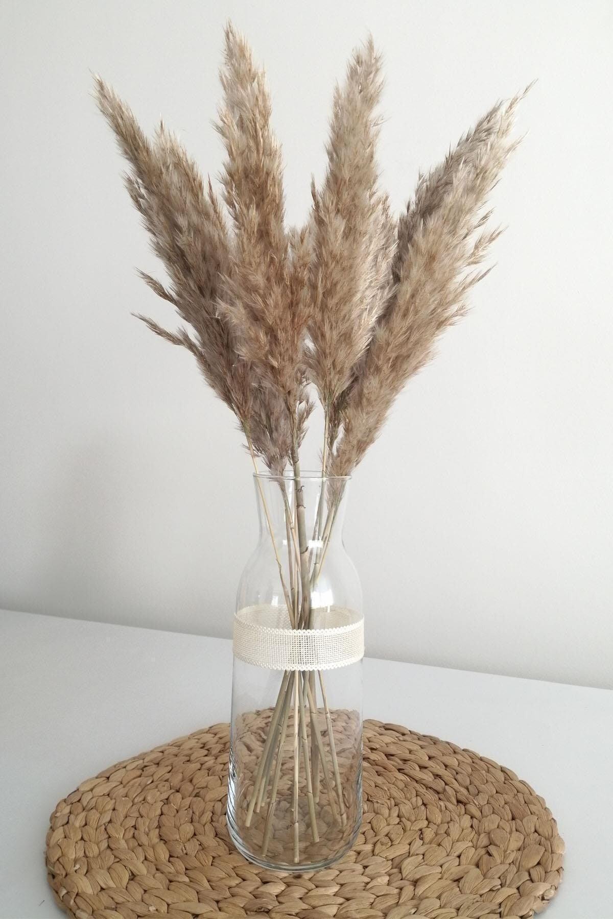 Dried Flower Pampas Small 7 Bunch 50 Cm (natural) - Swordslife