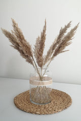 Dried Flower Pampas Small 7 Bunch 50 Cm (natural) - Swordslife