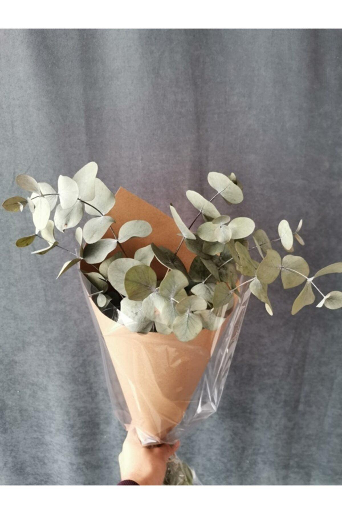 Dried Flower Shocked Eucalyptus Bunch Green (50 cm) - Swordslife