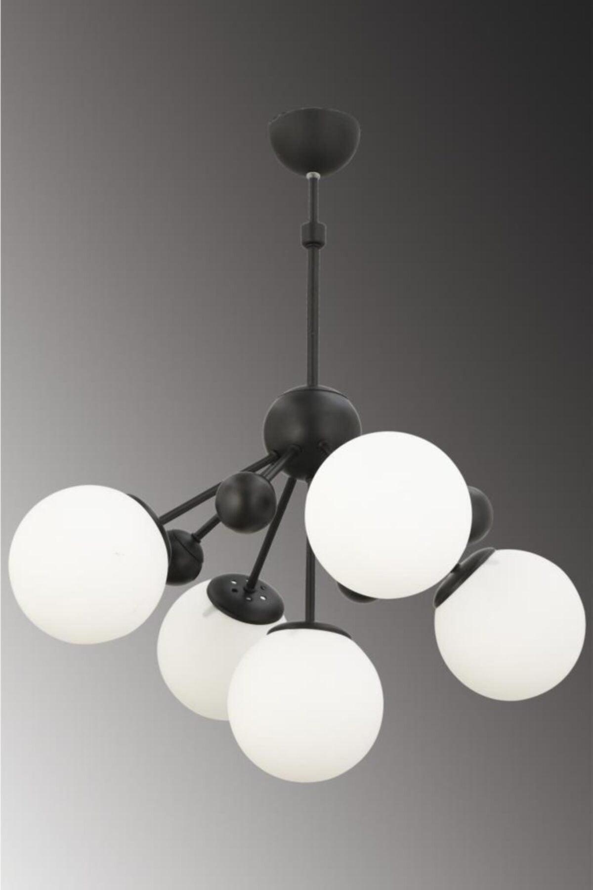 Larin 5 Piece Black and White Globe Glass Chandelier - Swordslife