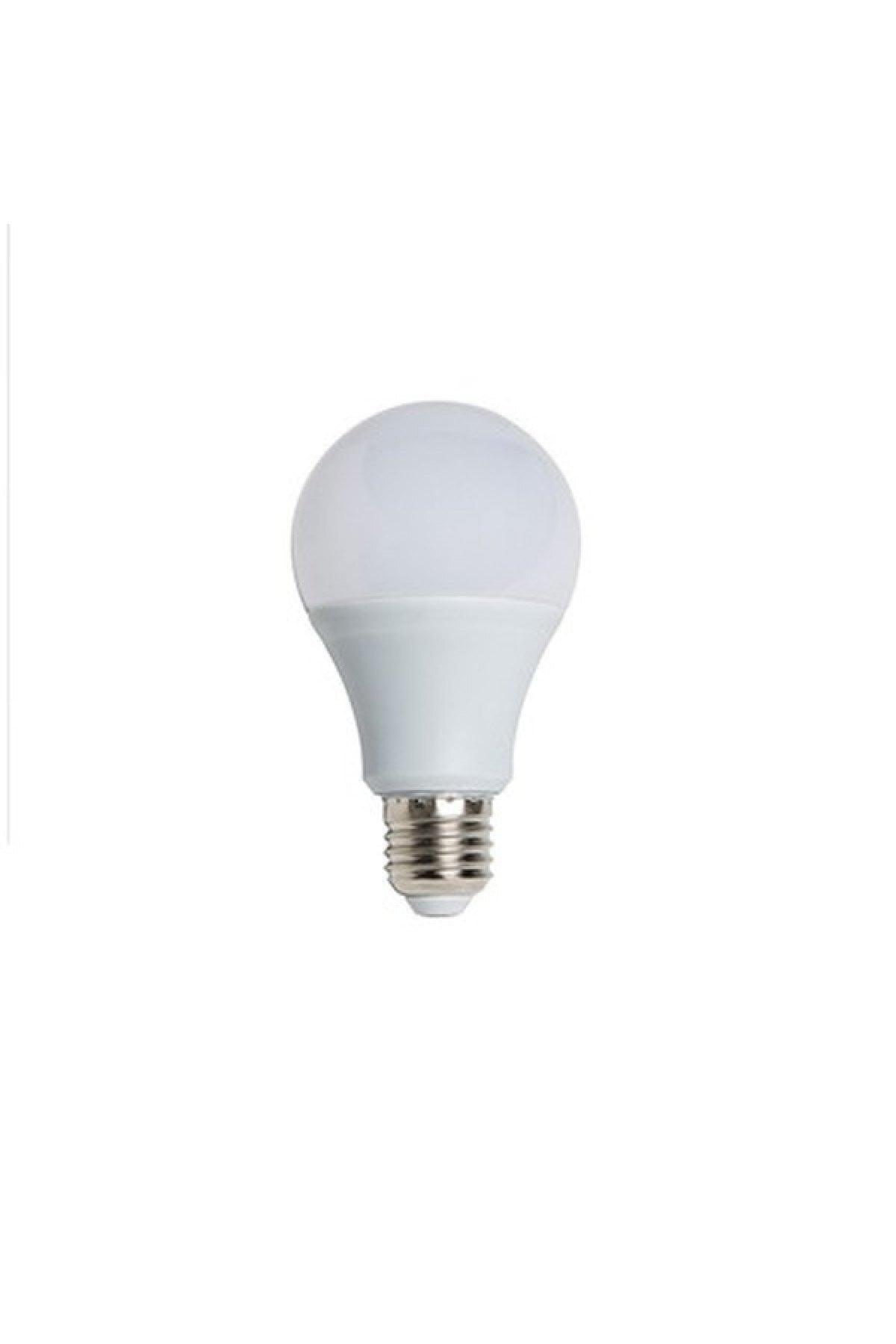 Led Bulb Color 10 Watt 10 Pack