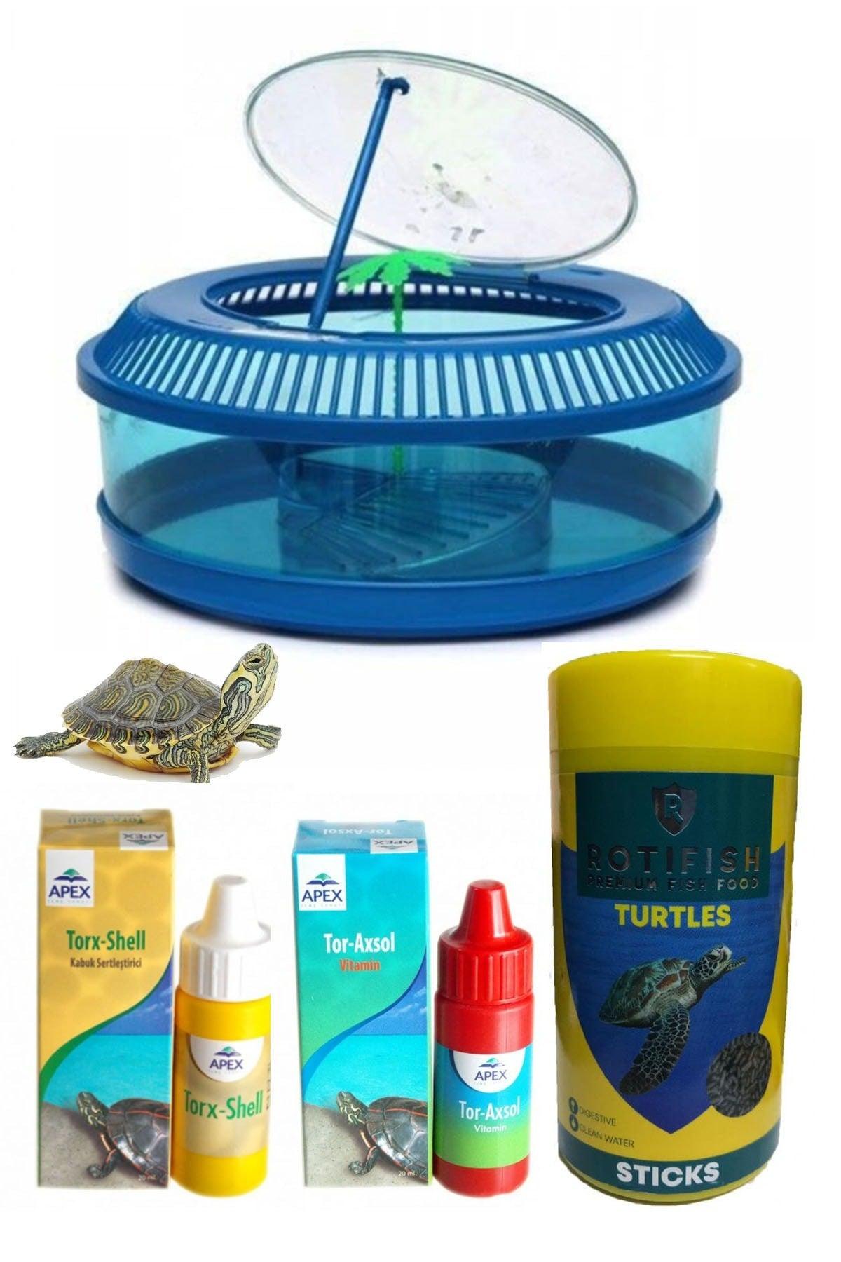 Luxury Round Turtle Garden And Vitamin