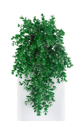 3 Branch Artificial Hanging Boxwood in Mini Black Plastic Pot - Swordslife