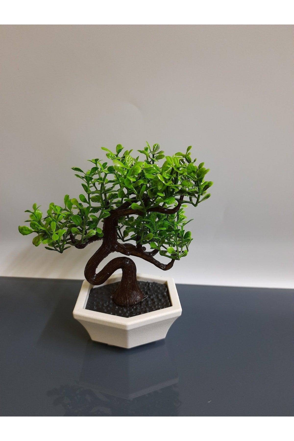 Mini Tree