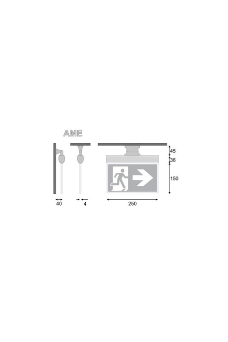 Moscow Eco Model Emergency Diverter Luminaire