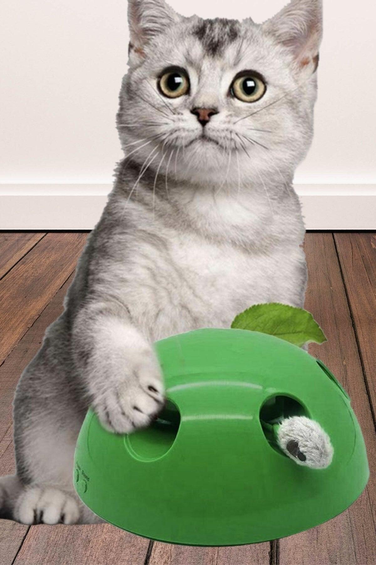 Cat Mouse Catching Toy with Mouse Sound Battery