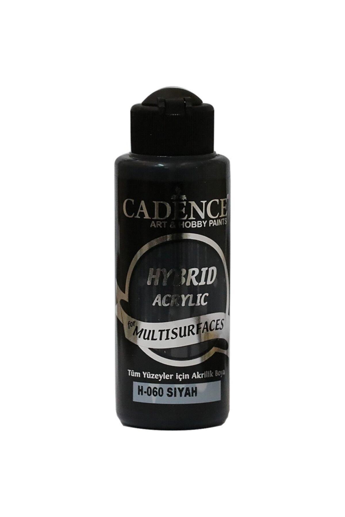 Multisurface Hybrid Paint H060 Black 120 Ml