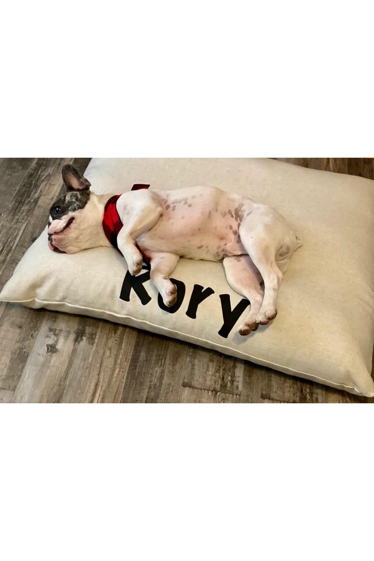 Name Special Cat And Dog Bed