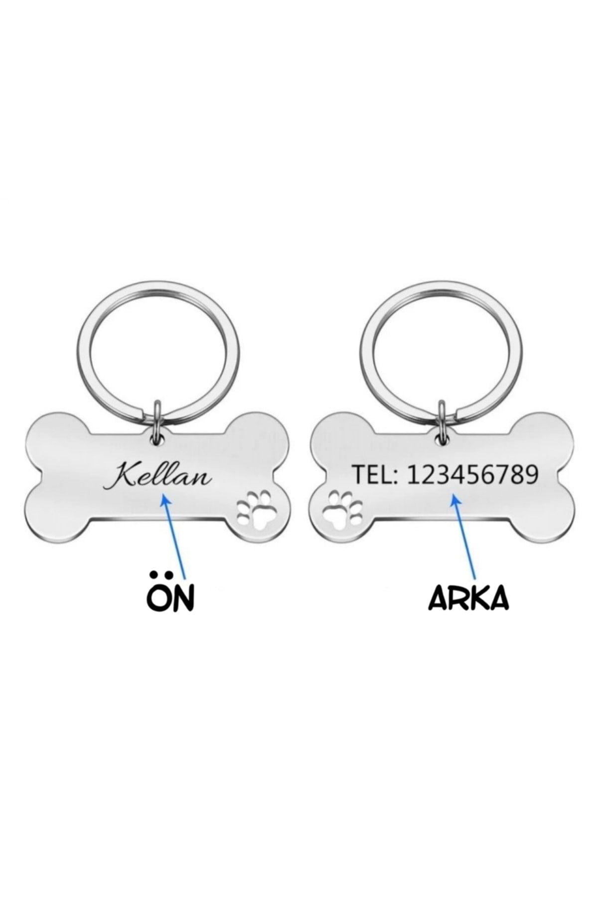 Name Special Steel Cat Dog Tag Tag