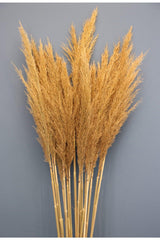 Natural Dried Flower Pampas 45 Pieces - Swordslife