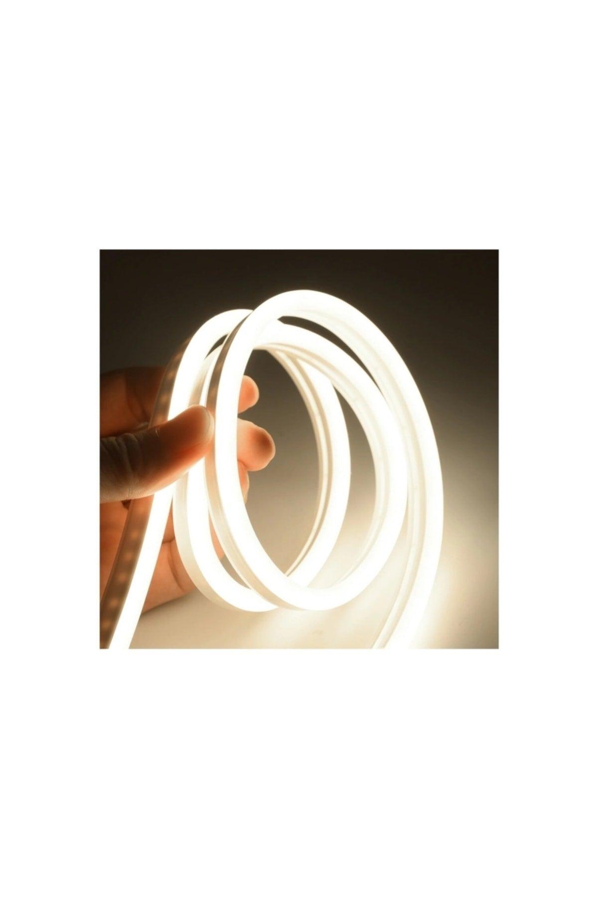 Neon Flexible Led Strip 10 Meters Daylight + 220