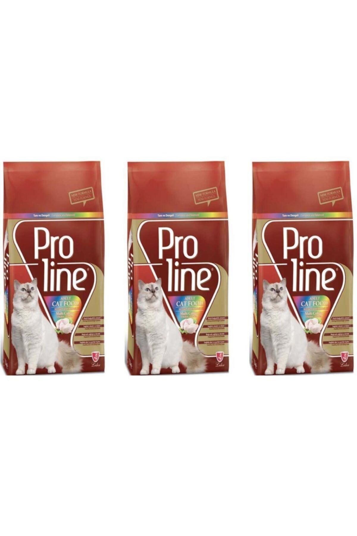 Adult Cat with Optium Colored Grain Chicken