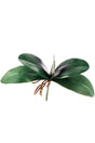 Orchid Leaf Artificial Flower - Swordslife