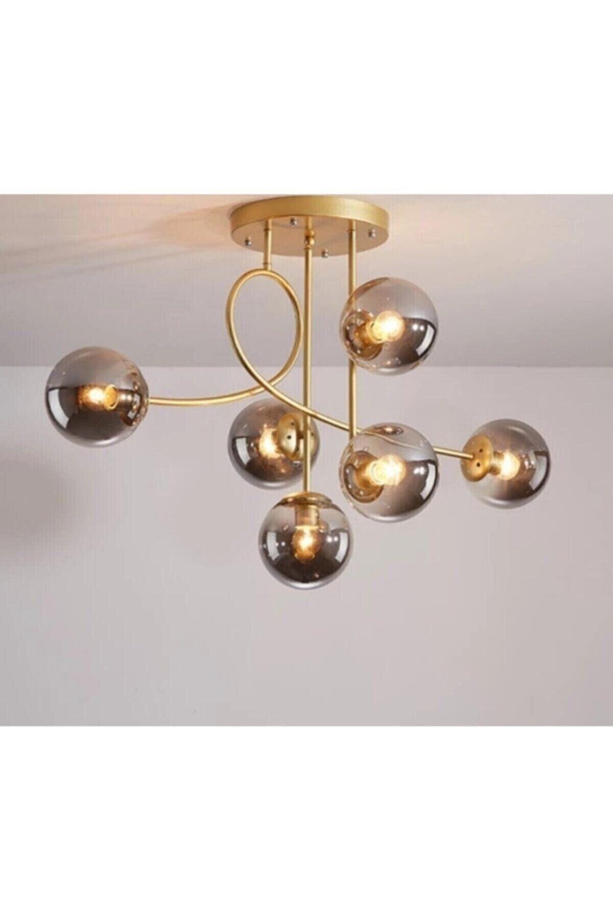 Pare Model Modern Sport Gold 6 Pcs Globe Smoked Glass Chandelier - Swordslife