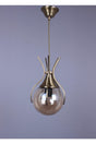 Claw Single Honey Glass Modern Chandelier - Swordslife