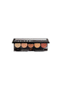 Professional Eyeshadow Palette 106