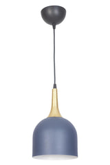 Reina Modern Design Metal Headboard Anthracite Color Pendant Lamp Cafe - Kitchen Single Chandelier - Swordslife