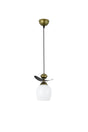 Single Modern Style Boat Model Metal Glass Pendant Lamp Chandelier - Swordslife