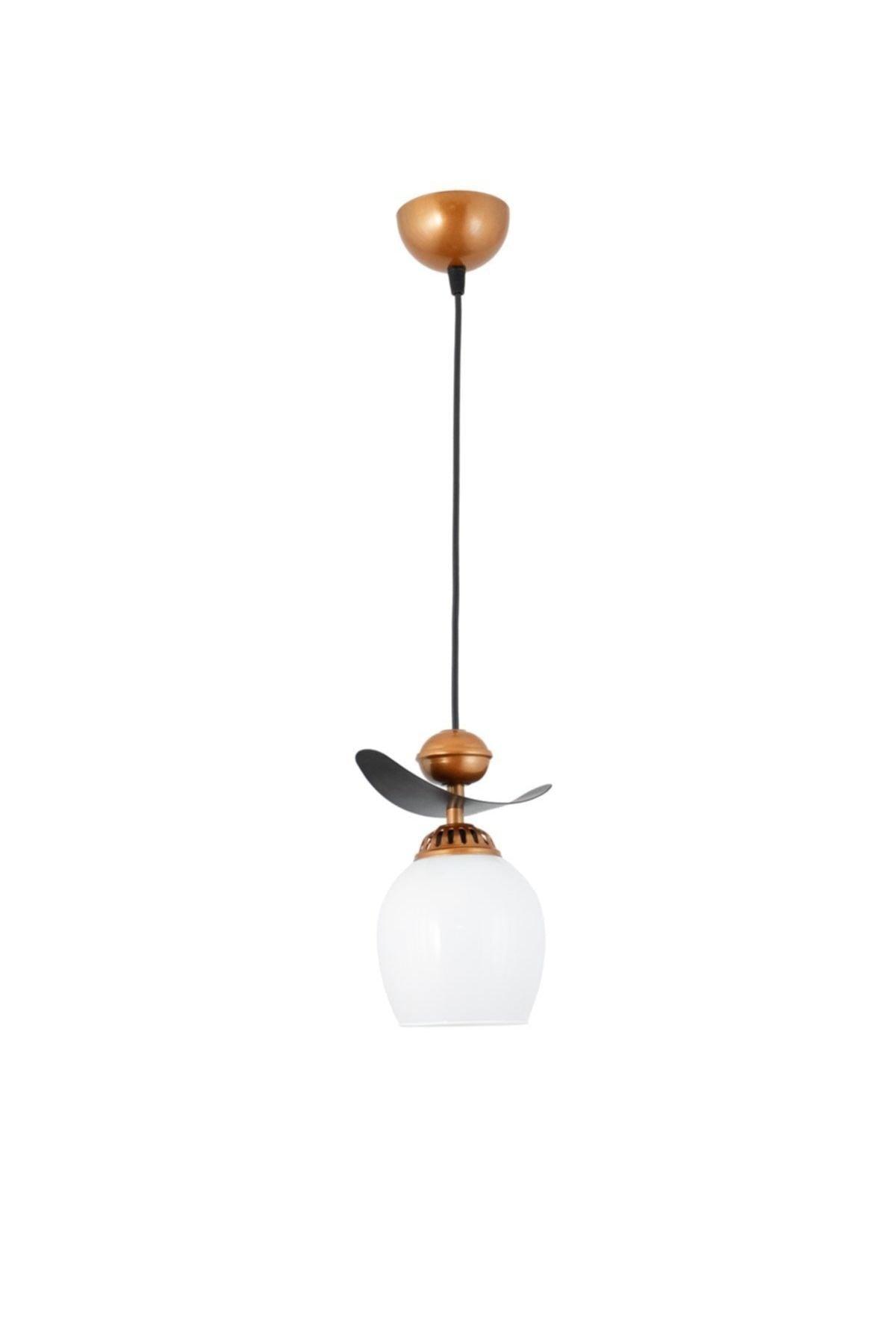 Single Modern Style Boat Model Metal Glass Pendant Lamp Chandelier - Swordslife