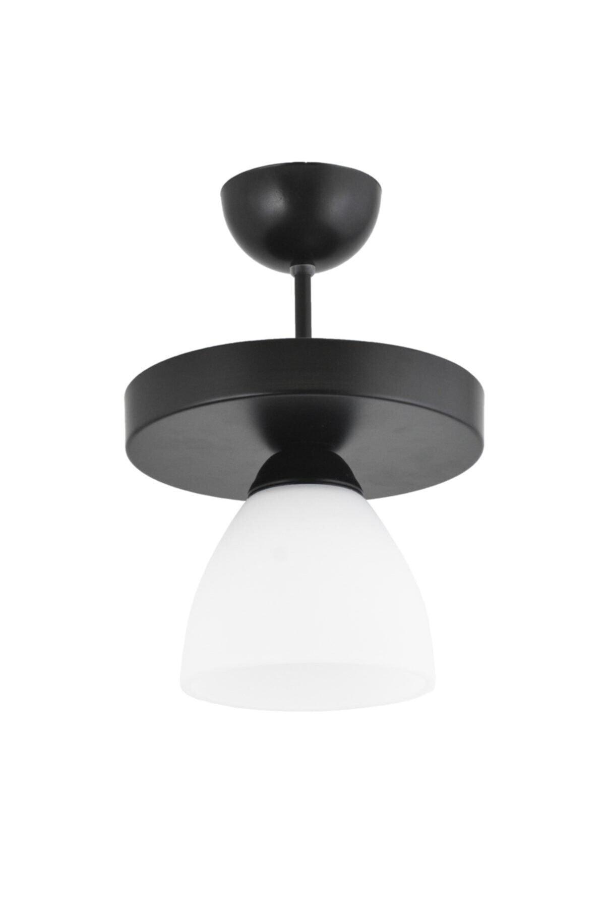 Single Round Black Sport Model Modern Chandelier - Swordslife