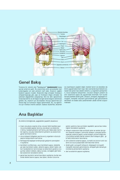 Sobotta, Atlas of Human Anatomy (4 Volumes) (From the 24th German Edition, 12th Latest Turkish Edition,) - Swordslife