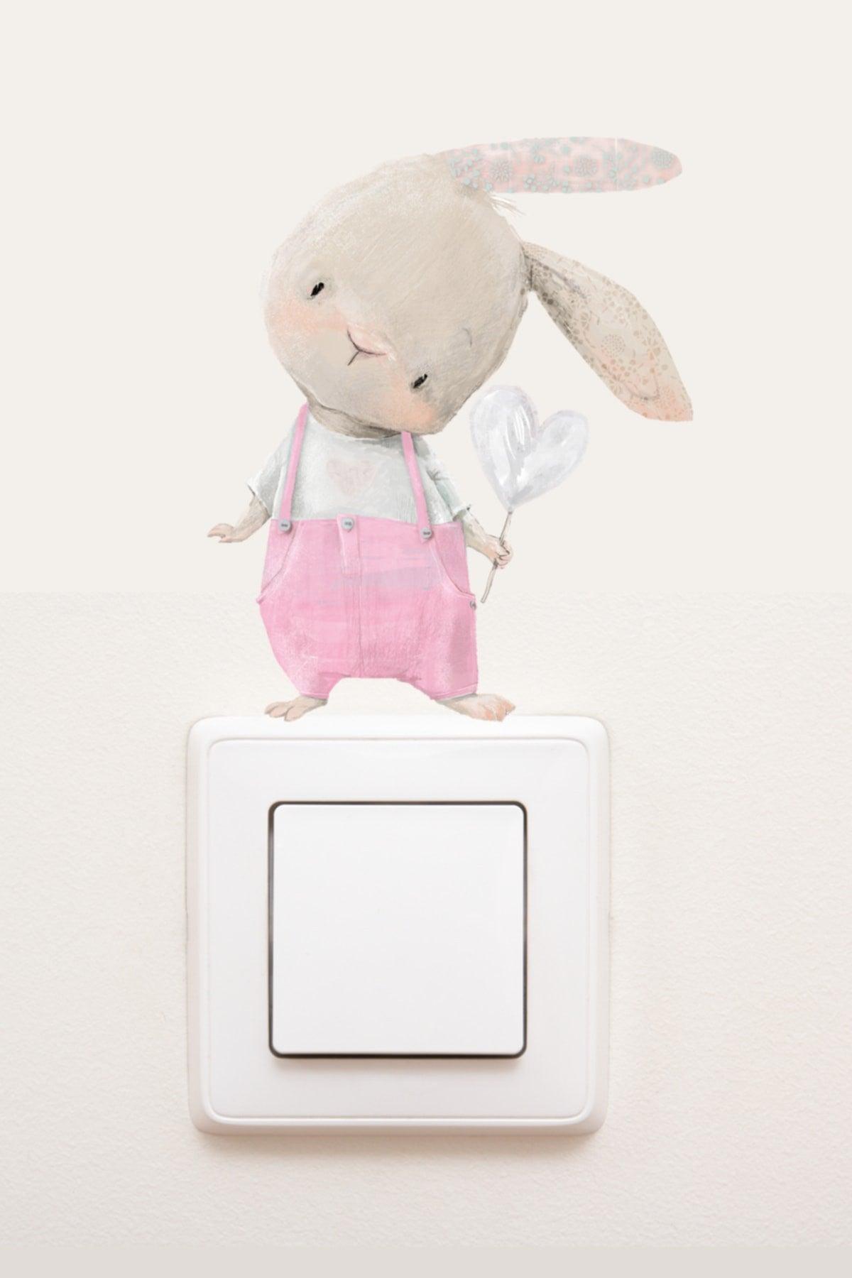 - Socket - Rabbit in Pink Overalls Decorative Socket