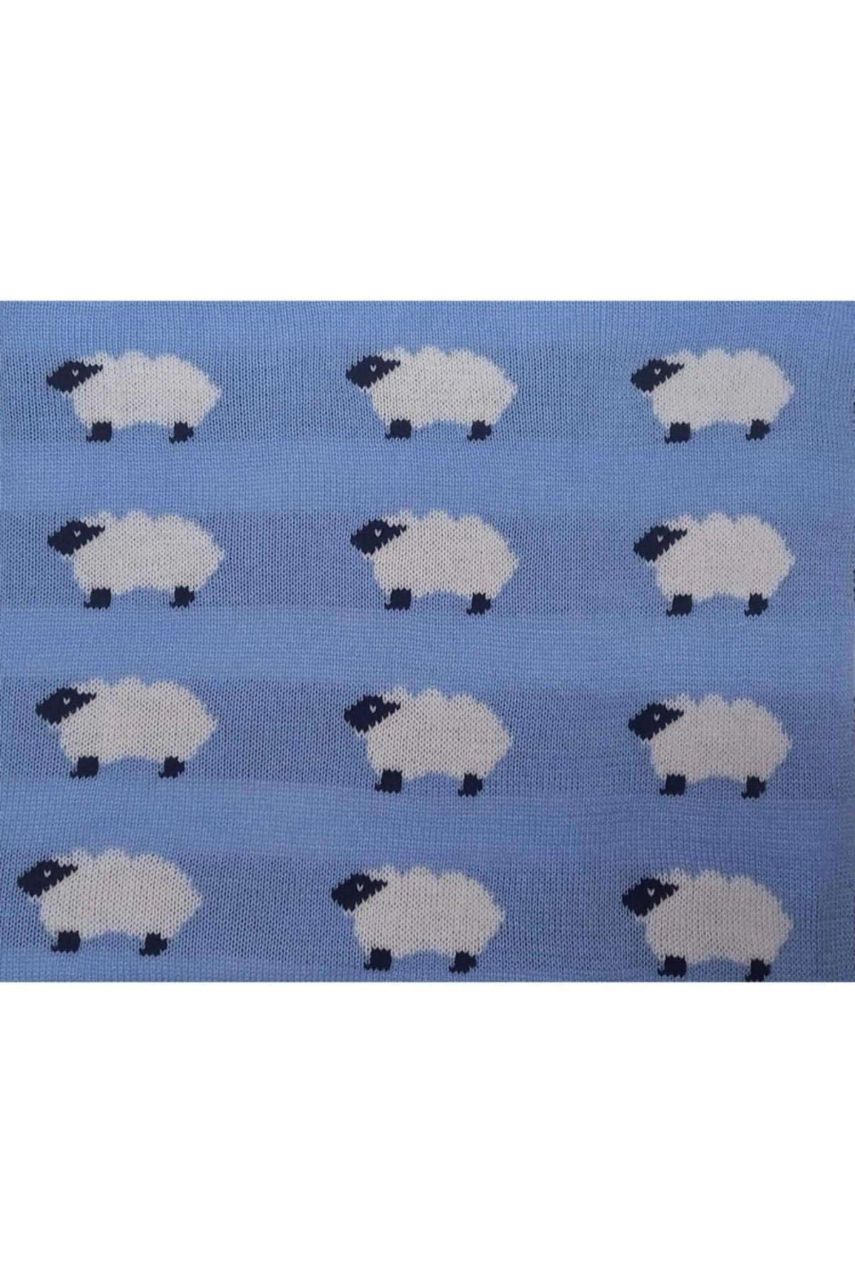 Knitwear Knitted Baby Blanket Babyblue Sheepskin 80×80 Cm Emka - Swordslife