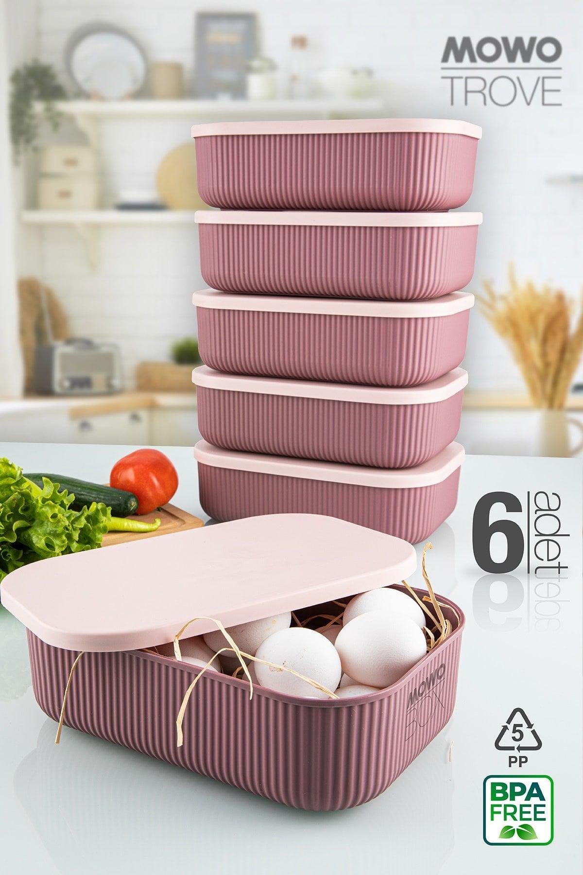 Trove 6 Pieces 3.2 Lt (Plum) Kitchen Storage Container - Swordslife