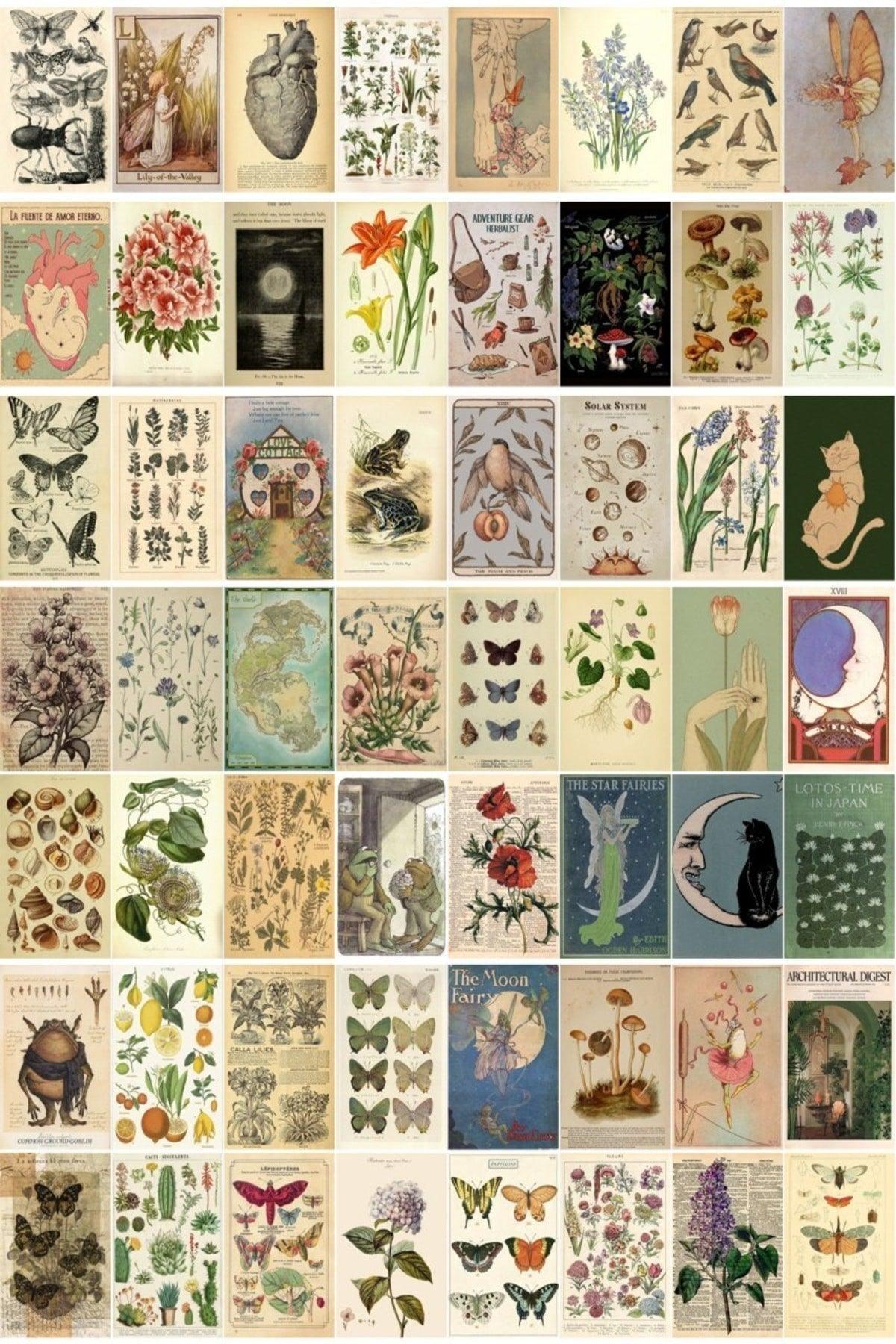 Vintage Botanical 60' Wall Poster Set - Swordslife