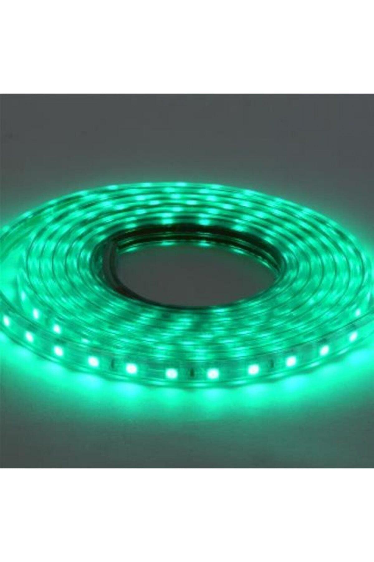 Volga 50x50 Outdoor Green Led Strip 50 Meters