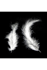 White Feather 100 Pieces - Swordslife