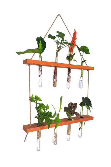 Glass Tube Vase Wall Terrarium With Wooden Stand Indoor Outdoor Hydroponic Plant Growing Wall Flower Pot - Swordslife