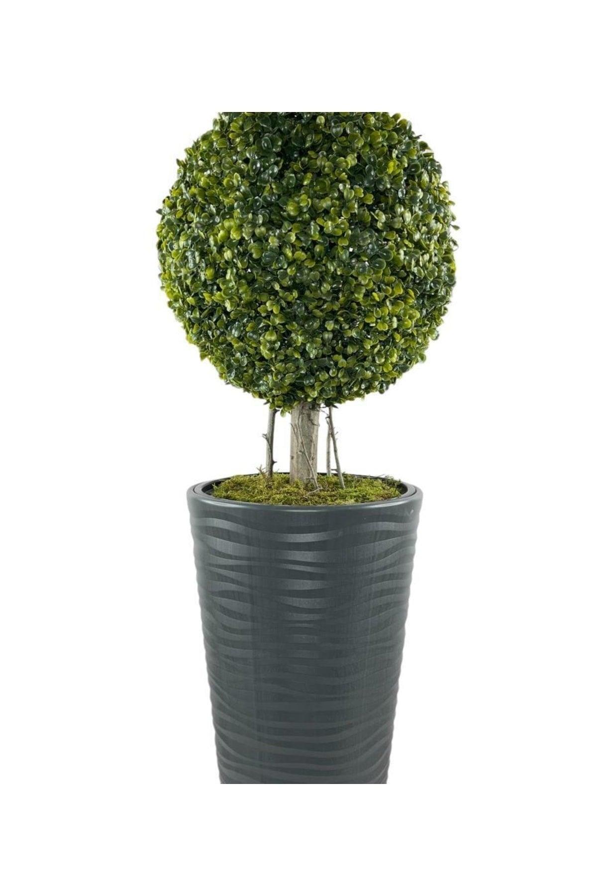 Artificial Tree Anthracite Long Beach Vase Boxwood Top 2 Bulk 130cm - Swordslife