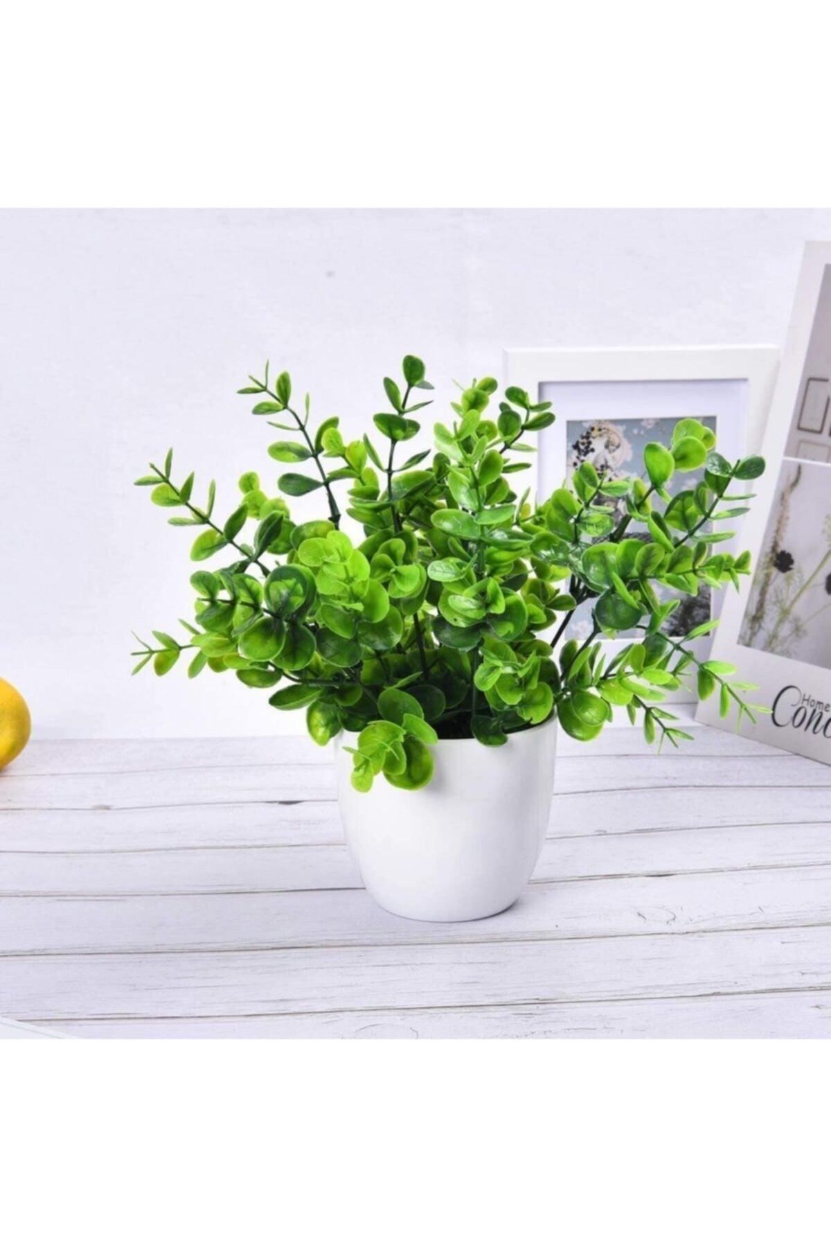 Artificial Flower White Potted Green Boxwood Decorative Table Flower - Swordslife