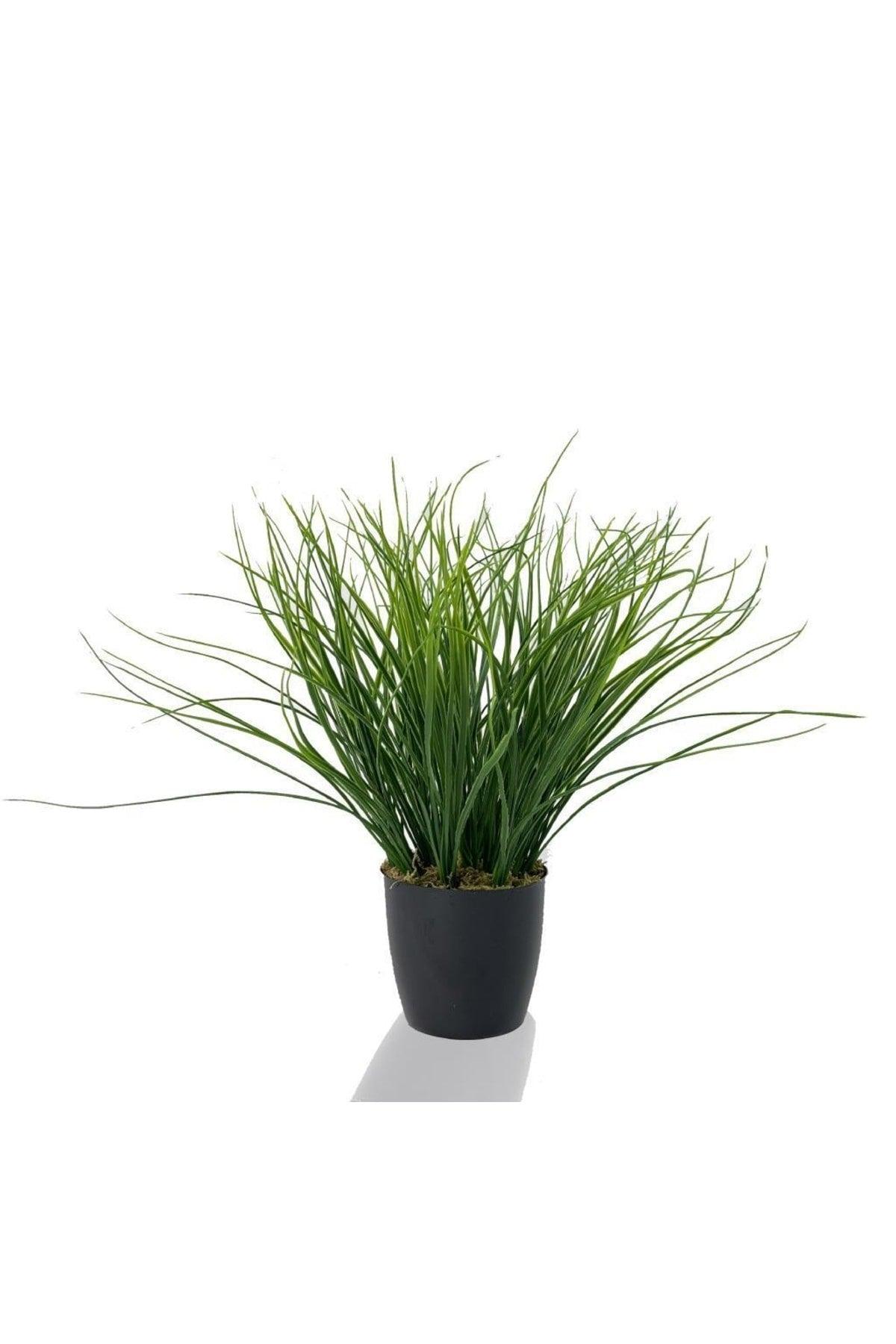 Artificial Flower Grass Thatch Artificial Plant Black Plastic Potted Decorative Ornamental Flower - Swordslife